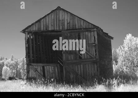 Immagine monocromatica a infrarossi di un vecchio fienile in legno in un campo aperto a Washington occidentale, USA. Foto Stock