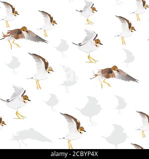 Uccelli. Immagine vettoriale. Sfondo bianco. Ripetizione senza giunture. Illustrazione Vettoriale