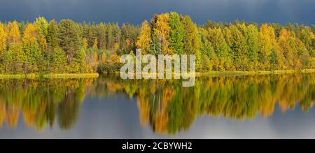 Autunno foresta lago riflessione paesaggio. Foto Stock