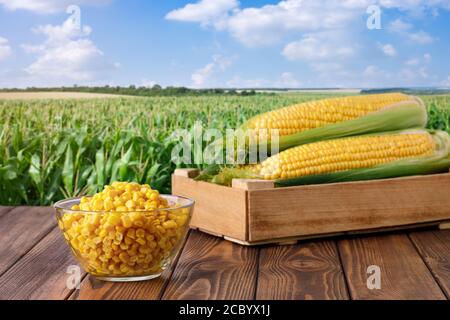 pannocchie di mais e semi in scatola in un recipiente di vetro Foto Stock