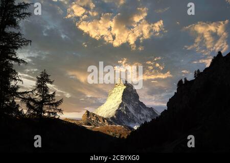 Monte Cervino mattina, silhouette nera di pini e bella nuvole di cielo sfondo. Foto Stock