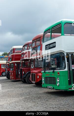 Linea di autobus storici. Trans Lancs Rally 2012. Heaton Park, Manchester. Foto Stock