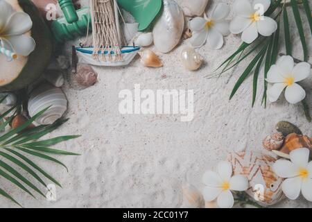 Conchiglie e fiori di piume su sfondo sabbioso, spazio copia per il testo di input e viaggio sulla stagione estiva concetto Foto Stock