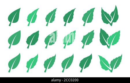 Foglia verde set. Eco Design Illustrazione Vettoriale