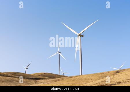 Turbine eoliche sulla cima delle colline in Altamont Pass, area della baia di San Francisco Est, California Foto Stock