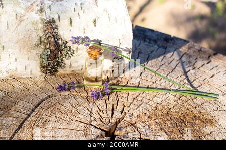 Olio essenziale di lavanda in bottiglia su fondo di betulla. Erboristeria e aromaterapia Foto Stock