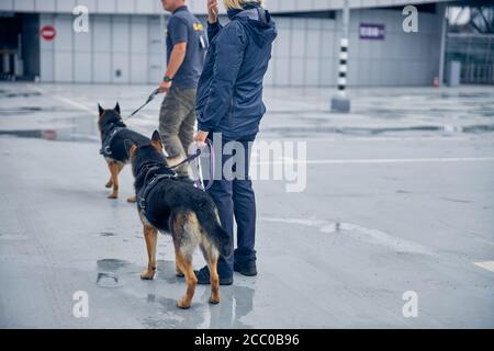 Addetti alla sicurezza con cani che sorvegliano il territorio aeroportuale Foto Stock