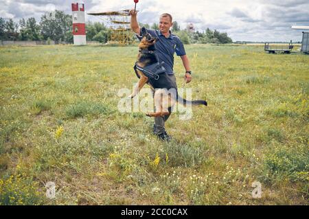 Ufficiale di sicurezza maschile addestramento cane di rilevamento in campo erboso Foto Stock