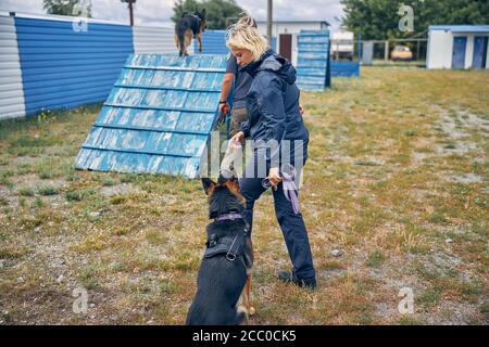 Gli ufficiali addestrano i cani di sicurezza in un parco giochi speciale Foto Stock