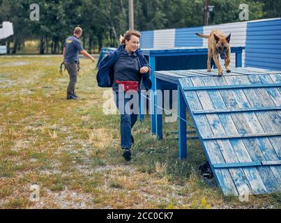Sorridente ufficiale di formazione Malinois cane all'aperto Foto Stock