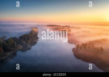 Vista aerea della foresta foggosa all'alba colorata in autunno Foto Stock
