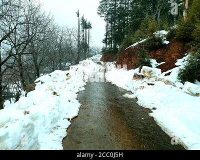 Strada porta a villaggio rurale neve entrambi i lati piante terreno forestale è anche in vista. Pastorizzazione Foto Stock