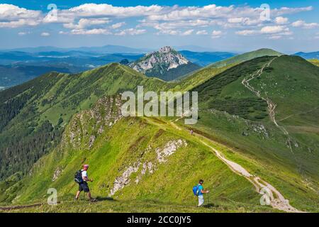 Velky Rozsutec montagna in lontananza, Stoh massiccio sulla destra, escursionisti, vista NE dalla cima di Chleb, Mala Fatra Parco Nazionale, Zilina Regione, Slovacchia Foto Stock