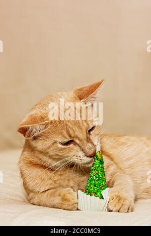 Divertente zenzero gatto morsi commestibile albero di natale verde. New Year e sposare la carta di Natale. Spazio per il testo. Messa a fuoco selettiva. Foto Stock