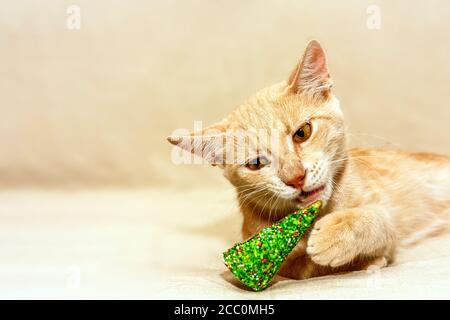 Divertente zenzero gatto morsi commestibile albero di natale verde. New Year e sposare la carta di Natale. Spazio per il testo. Messa a fuoco selettiva. Foto Stock