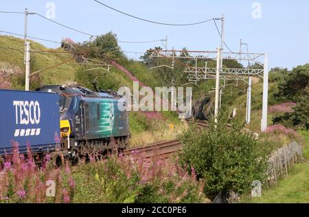 Treno container da Daventry a Mossend passando Tebay e iniziando la salita a Shap Summit sulla WCML a Cumbria Sabato 15 Agosto 2020. Foto Stock