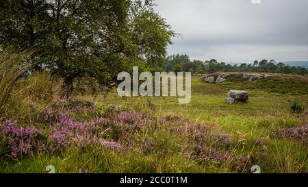 Un'antica mitica configurazione di tre grandi pietre con sculture antiche situate a Craigmaddie Muir, Scozia. Lo scopo delle pietre è sti Foto Stock