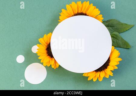 Cerchio bianco di carta sulle teste del girasole, sulla carta grigia sfondo verde.disegno di scheda, piacevole e creativo. Foto Stock