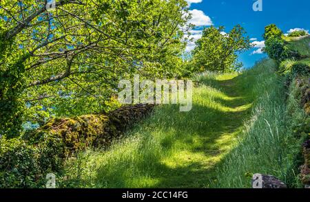 Francia, Quercy, Lot, Saint Laurent-les-Tours, percorso che conduce al castello Saint Laurent les Tours Foto Stock