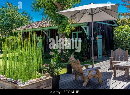 Francia, Nuova Aquitania, baia di Arcachon, terrazza e capanna (rilascio di proprietà) Foto Stock