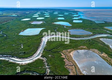 Francia, Hauts de France, Pas-de-Calais, Baia di Authie Foto Stock