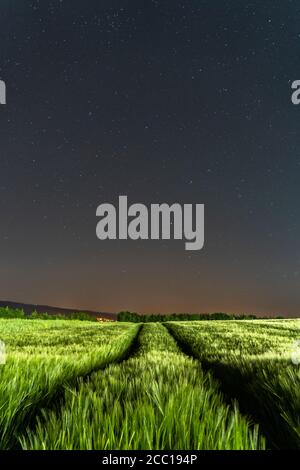 Quartiere Ulm Eselsberg notte vista paesaggio con stelle su un campo verde, esposizione lunga con effetto di sfocatura movimento Foto Stock