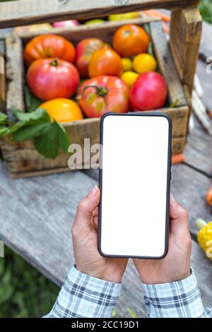 Ordinazione online di ortaggi e frutta da fattoria biologica. Telefono cellulare schermo bianco su sfondo alimentare. Foto Stock