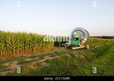 Dordogne, Francia: Luglio 2020: Un sistema di irrigazione Bauer Rainier T61 utilizzato per annaffiare un campo di mais in un'azienda agricola in Francia Foto Stock