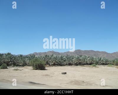 Vista della montagna nel deserto con Sand Road e Trail Nell'entroterra dell'Arabia saudita, di Capetown o del Texas Foto Stock