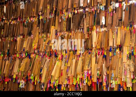 I viaggiatori che viaggiano thailandesi visitano e rispettano su Tong Pae buddha d'oro e la scrittura sulla benedizione della piastra di bambù per pregare Di Phu SA ma tempio a Pai c Foto Stock