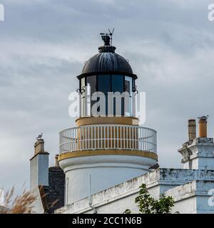 Il faro di Cromarty è stato progettato dallo zio di Robert Louis Stevenson, Alan Stevenson. Divenne operativo nel 1846 sulla punta nord-orientale del Black i Foto Stock