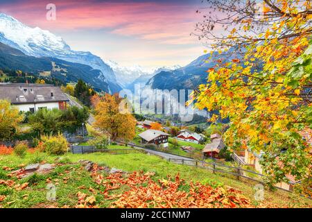 Splendida vista autunnale del pittoresco villaggio alpino di Wengen con il monte Jungfrau e la valle di Lauterbrunnen sullo sfondo. Ubicazione: Villaggio di Wengen, Ber Foto Stock