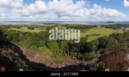 In Irlanda, il Leinster, nella contea di Fingal, Vista dei giardini di rododendro con campo da golf Foto Stock