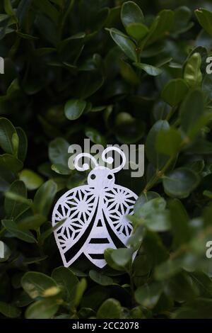 Concetto: ladybug. Foto Stock