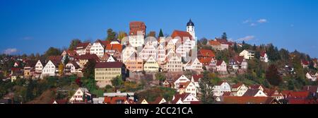 Germania, Baden-Württemberg, Schwarzwald, Altensteig, Foto Stock