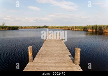 Austria, Burgenland, Dock a ruggine sul lago di Neusiedl Foto Stock