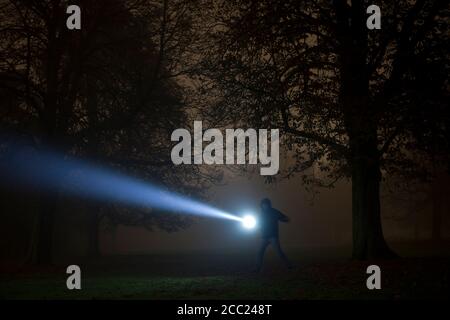 Germania - Monaco, illuminazione uomo spooky tree con torcia nella notte di nebbia Foto Stock