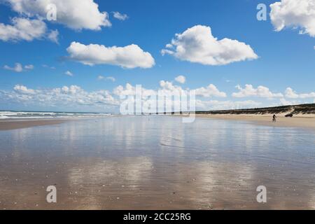 Nuova Zelanda, vista di Ninety Mile Beach Foto Stock