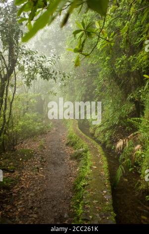 Il Portogallo, Madera, Levada, tradizionale Canal irrigazione Foto Stock