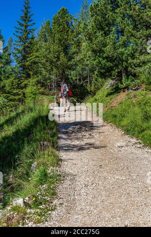 Italia Veneto Dolomiti - escursionisti sul sentiero che porta alla forcella Fontananegra, Astaldi e Tofana di Rozes Foto Stock