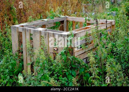 pallets di legno usati come muri di mucchio di composto in giardino inglese, norfolk, inghilterra Foto Stock