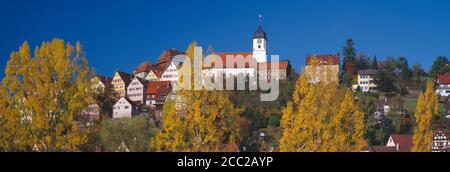 Germania, Baden-Württemberg, Schwarzwald, Altensteig, Chiesa Foto Stock