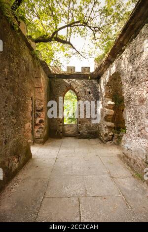 Antiche rovine della cappella in una foresta coperta da vegetazione Foto Stock