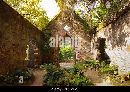 Antiche rovine della cappella in una foresta coperta da vegetazione Foto Stock