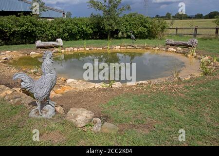 Recentemente completato grande laghetto giardino con primo impianto di piante laghetto e circondato da pietre Cotswold, Colemans Hill Farm, Mickleton, Regno Unito Foto Stock