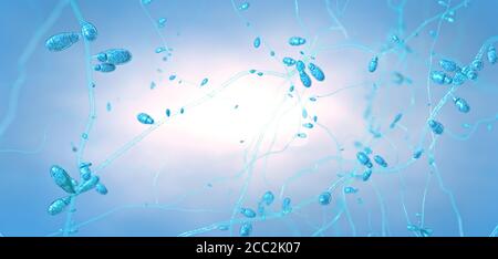 Primo piano di funghi dermatofiti in crescita causando malattie della pelle - 3d illustrazione Foto Stock