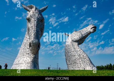 I Kelpies sono alti 30 metri e pesano 300 tonnellate ciascuno. Costruito dallo scultore Andy Scott nell'Helix Parkland, Falkirk, Scozia. Foto Stock