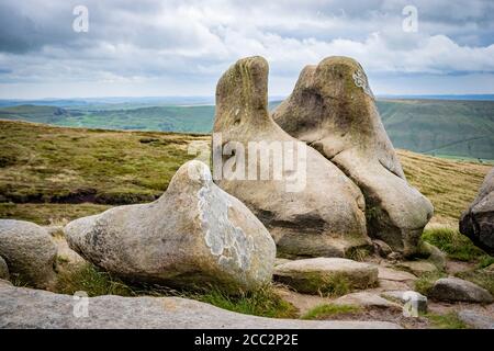 Weathered gritstone massi su Kinder Scout, Peak District, Derbyshire, England, Regno Unito Foto Stock