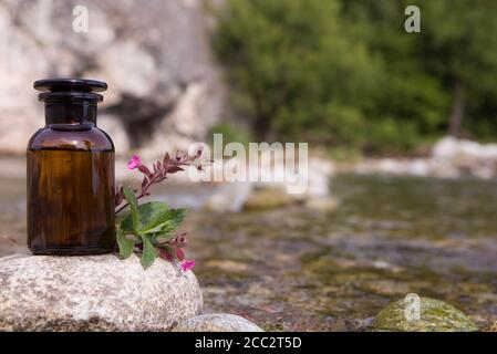 Oli essenziali ed erbe di fiori medici. Foto Stock