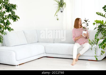 Ficus fiore nelle mani di una ragazza. Foglie verdi di una pianta domestica. Copia spazio. Giungla urbana Foto Stock